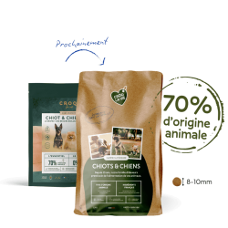 Petite croquette pour très petit chien Toy ou miniature - Croq la vie - Mieux nourrir nos animaux.