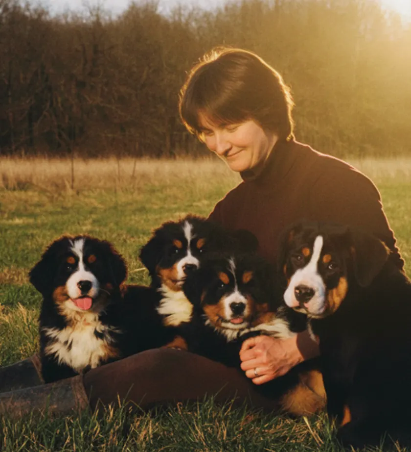 2008 le choc qui a tout changé